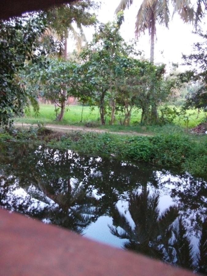 Vila Waterway Garden Polonnaruwa Exteriér fotografie