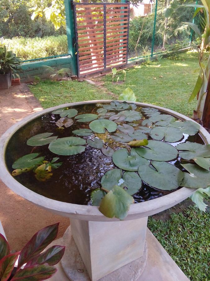 Vila Waterway Garden Polonnaruwa Exteriér fotografie