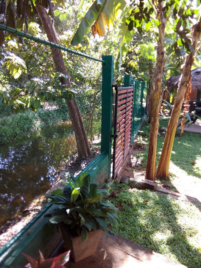 Vila Waterway Garden Polonnaruwa Exteriér fotografie