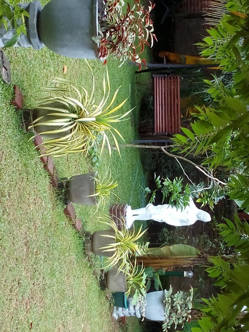 Vila Waterway Garden Polonnaruwa Exteriér fotografie