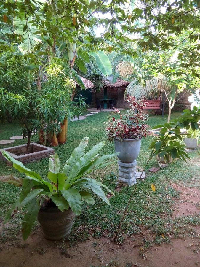 Vila Waterway Garden Polonnaruwa Exteriér fotografie